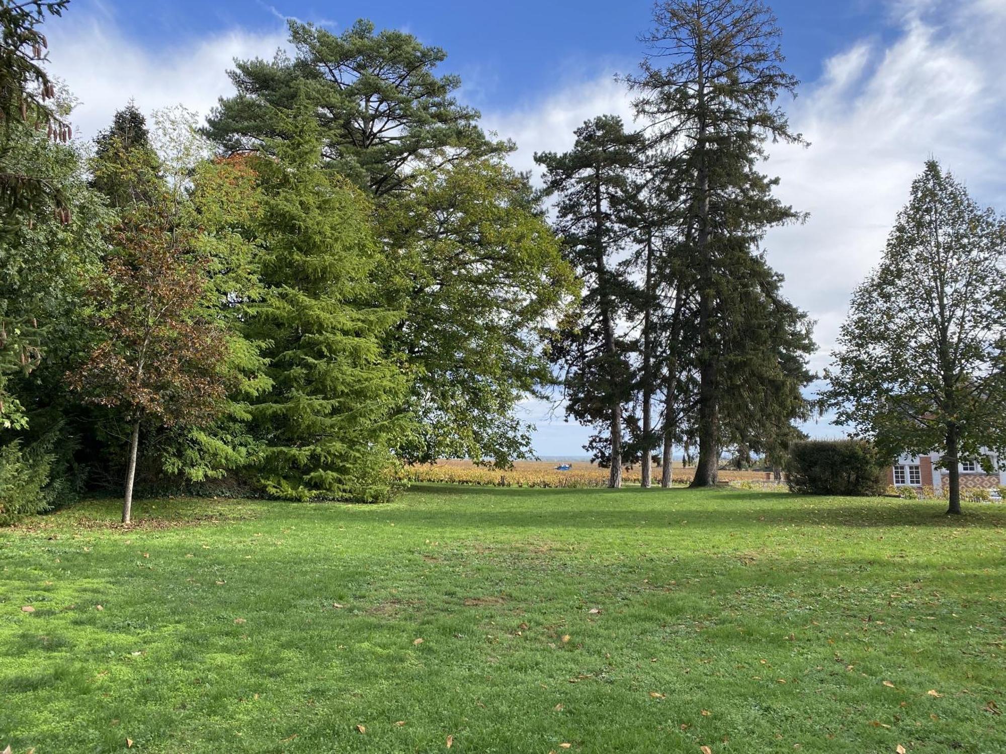 Manoir de Villamont Savigny-lès-Beaune Esterno foto
